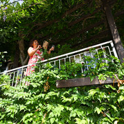 Pic 0201