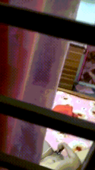 [Image: Caught-3-Conv-Gif.gif]