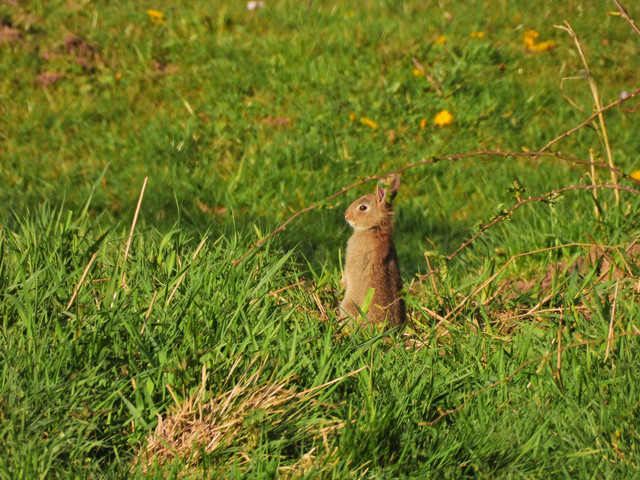 DSCN4629.jpg