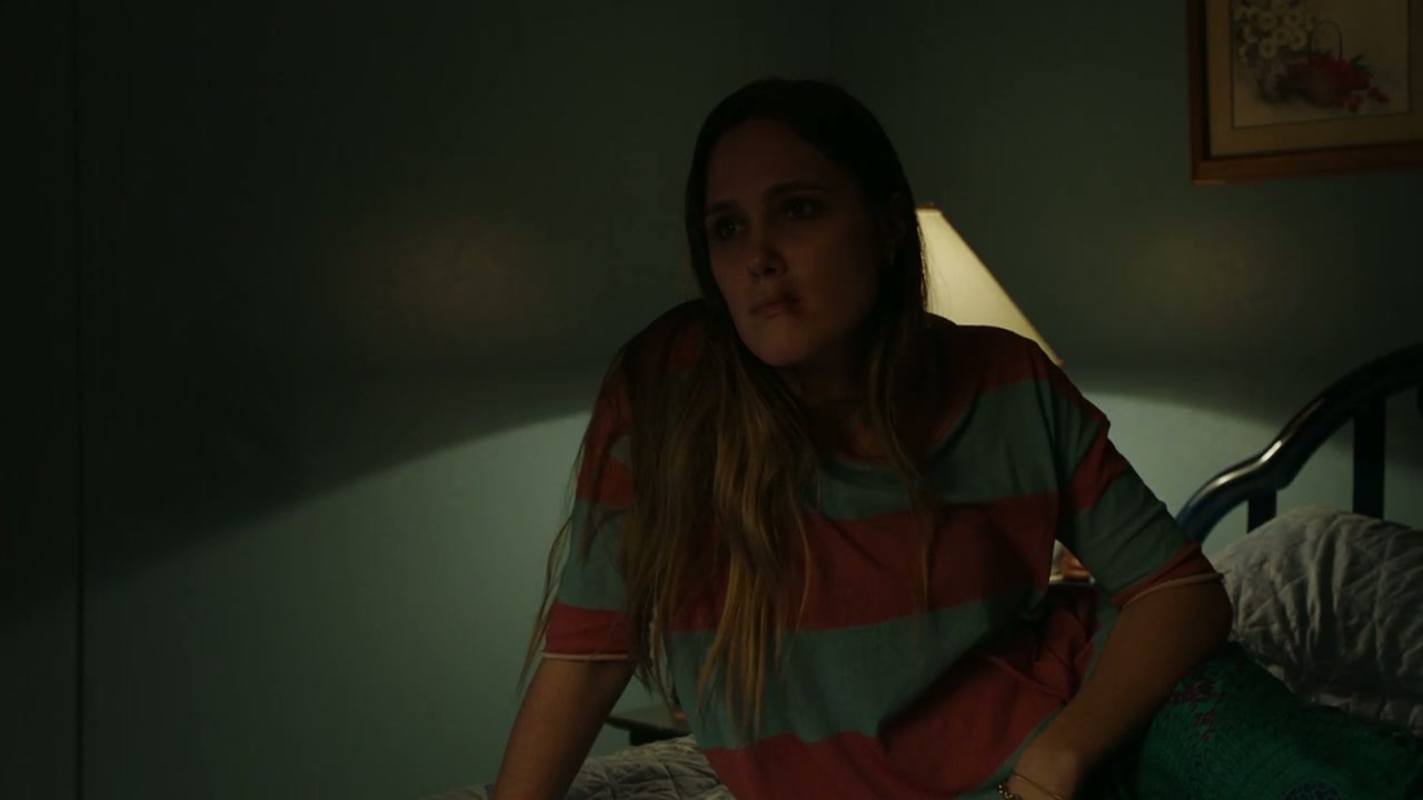 The Cleaner Screenshot
