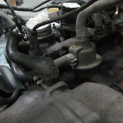 IMG 0411