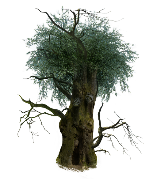pixelcut-export.png