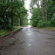 IMG-6064
