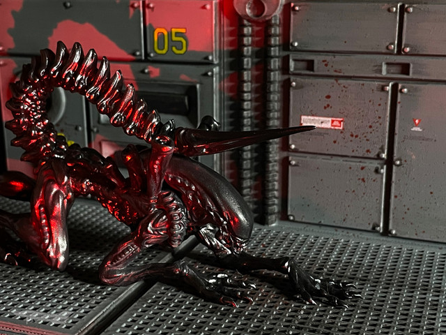 alien-4.jpg