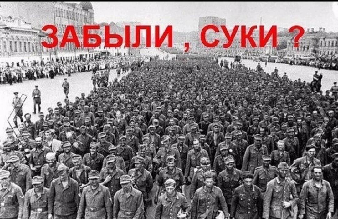 https://i.ibb.co/5WHxhYLV/88-a.jpg