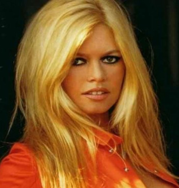brigitte bardot.jpg
