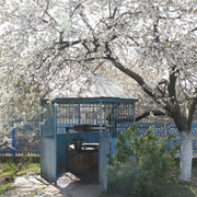 2a0268m