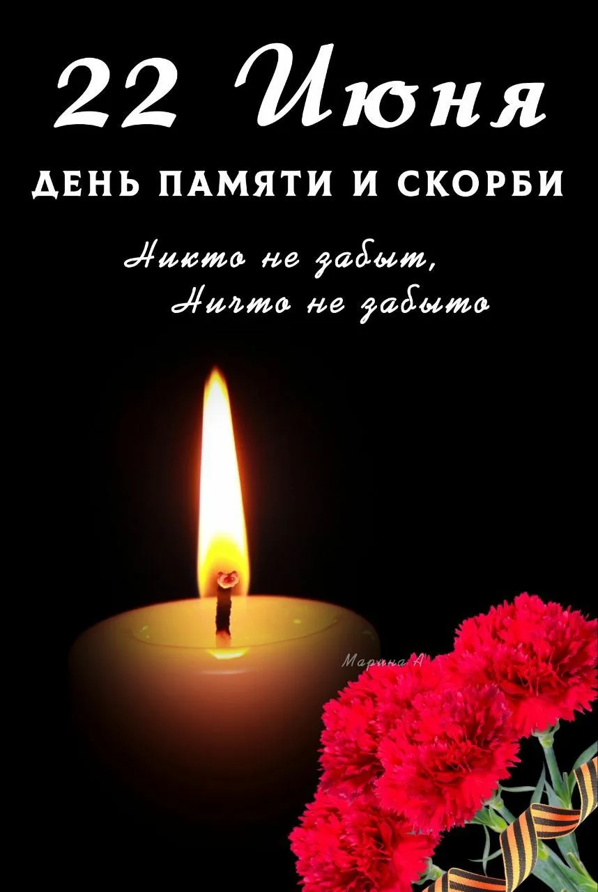 https://i.ibb.co/5WNYVc3r/IMG-5258.webp