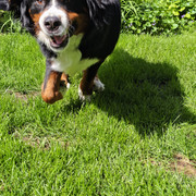 IMG 20260509 155010