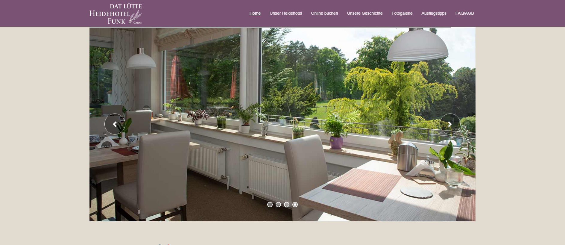 Forensic screenshot of dat-luette-heidehotel.de showing the phishing page layout
