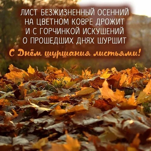 https://i.ibb.co/5WRLG4WX/IMG-2104.jpg