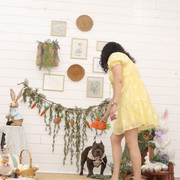 IMG-7410