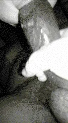 26825468