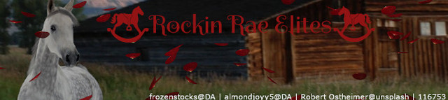 rockinraebanner