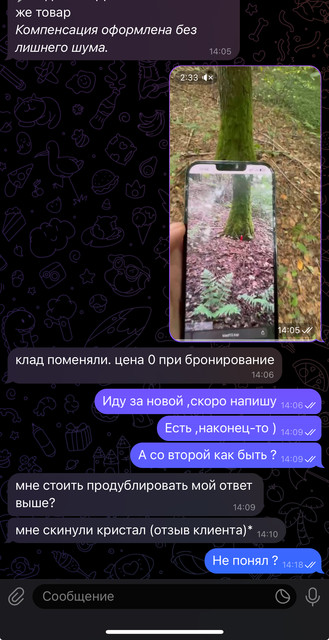 IMG-3532