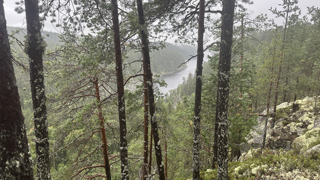 IMG 4875.jpg