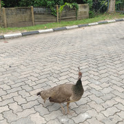 IMG20260720145348