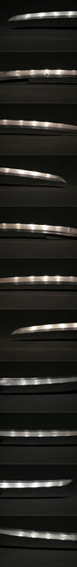 DSC0407.jpg