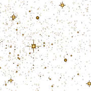 imageedit-2-8058121430