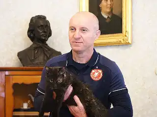 [Obrazek: 26090701c3-975573497-small.webp]