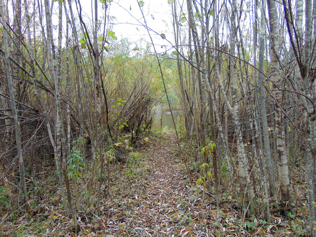 DSC04051