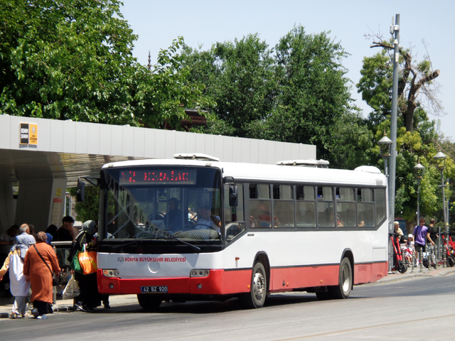 IMG-6341