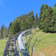 IMG 1697