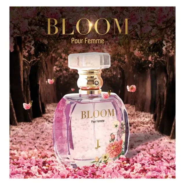 BLOOM 2.webp