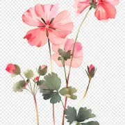 3d79be231c740811d90b1b688c1c72