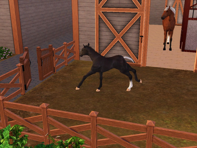 Screenshot-528