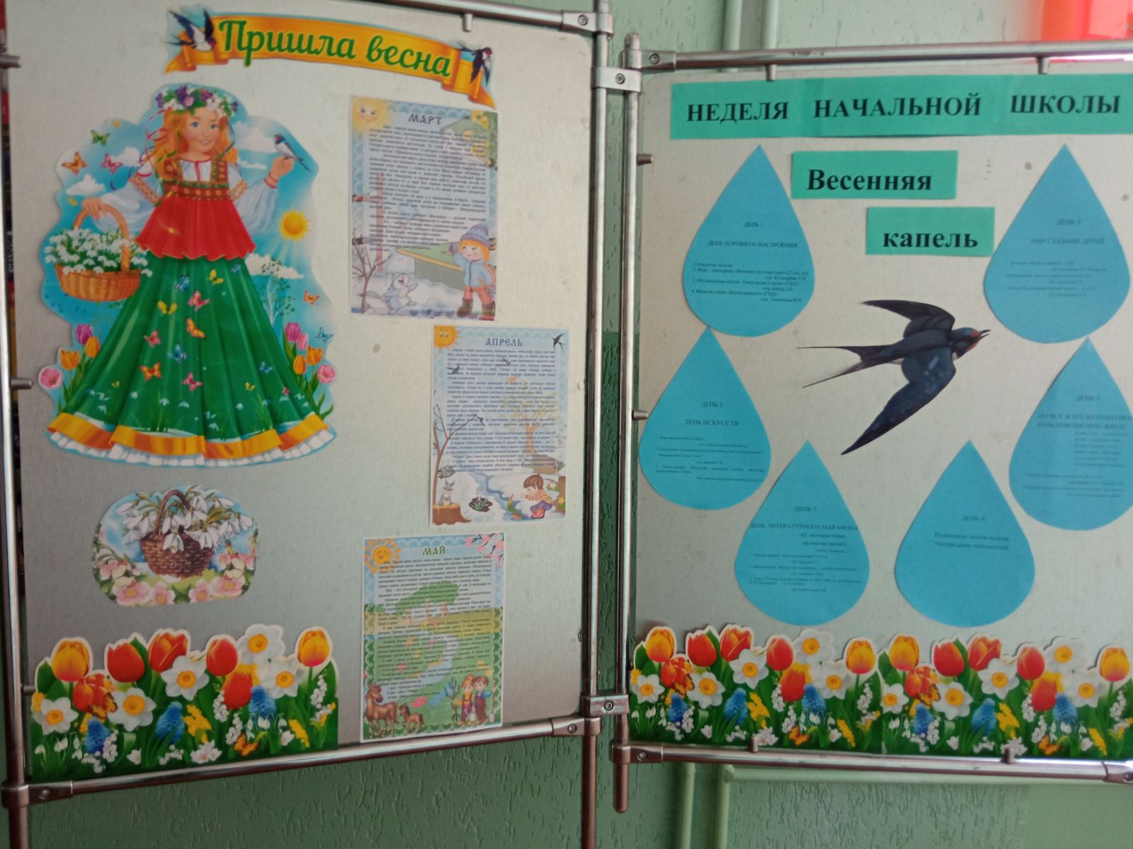 неделя начальных классов окружающий мир