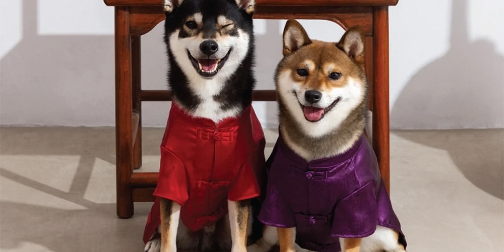CLOT Presents New Pet Clothing Collection for Lunar New Year