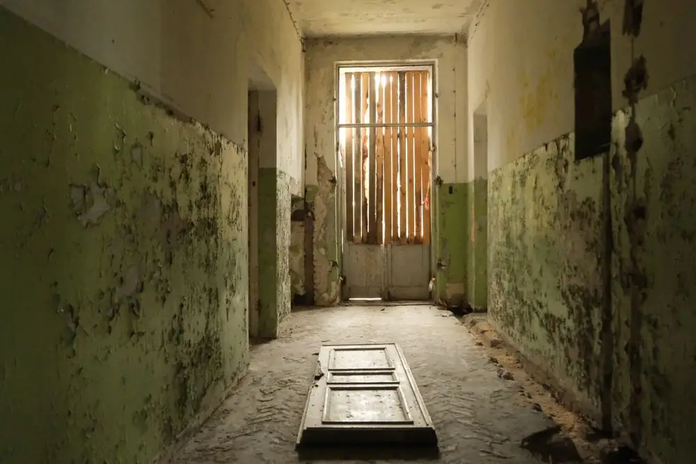 The History of Insane Asylums in the 19th Century and How They Defined Mental Illness
