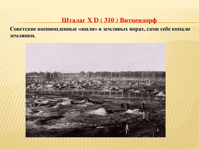 https://i.ibb.co/5Wv1H2PJ/image.jpg