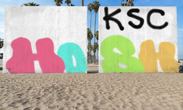 Graffiti artwork by hosha