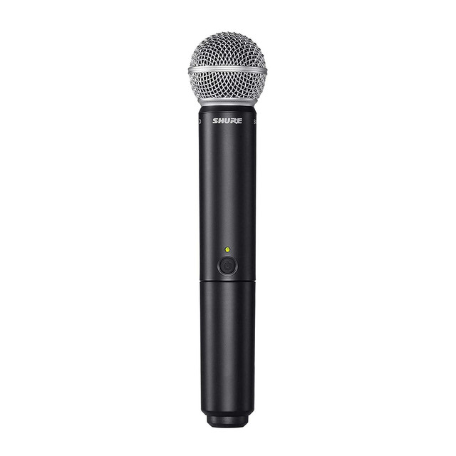 BLX288 SM58 2.jpg