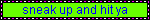 IMG 5608.gif