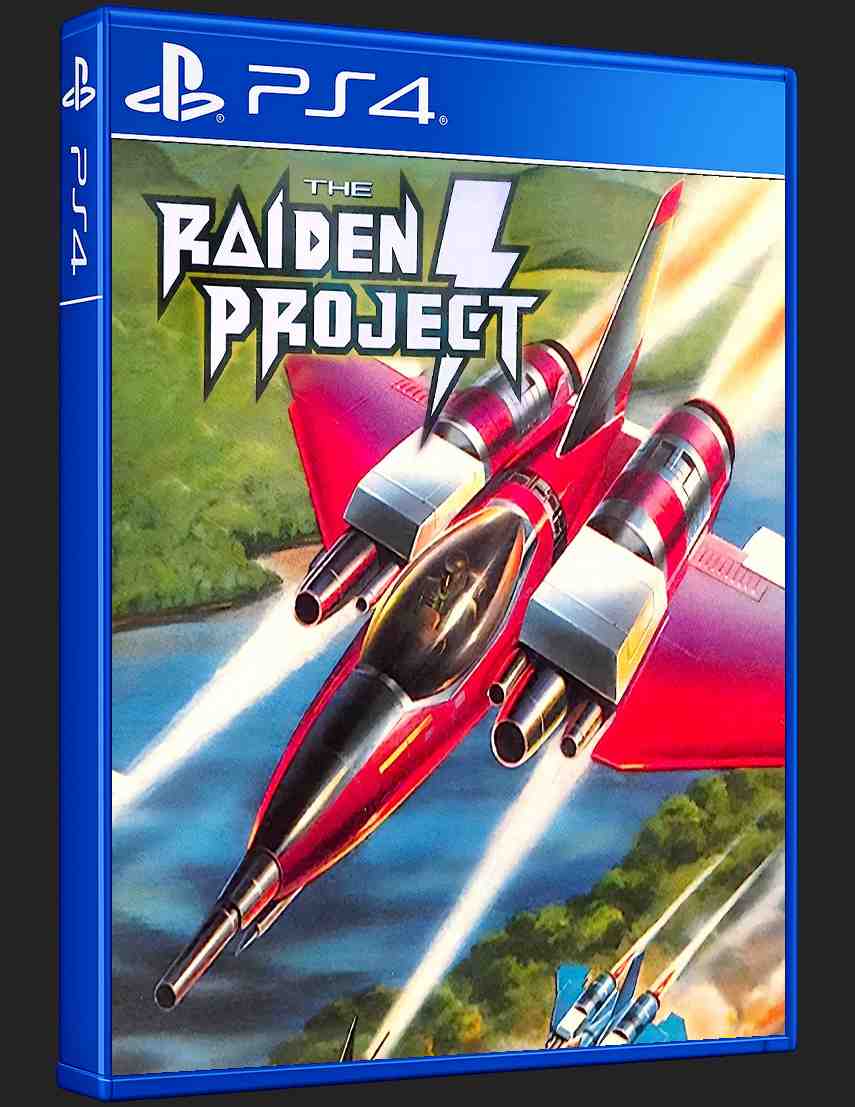 The Raiden Project