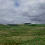 DSCF7937