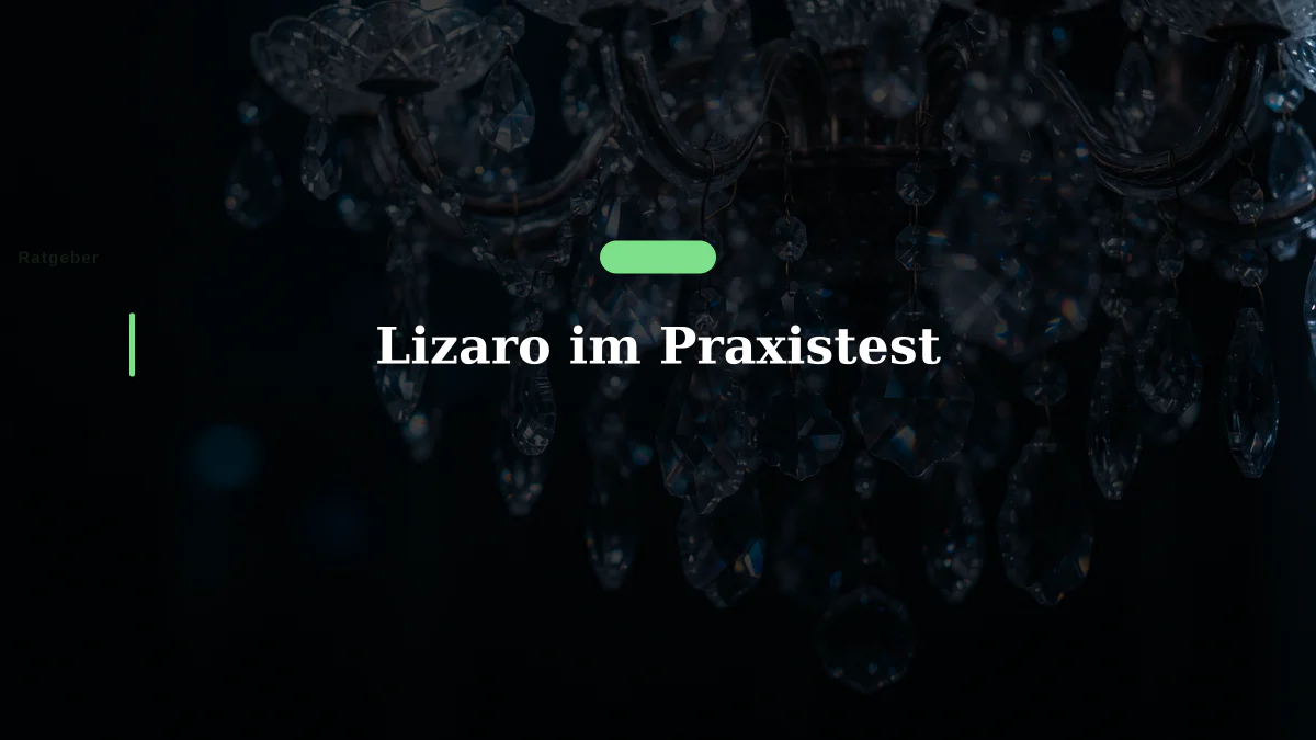 Lizaro im Praxistest