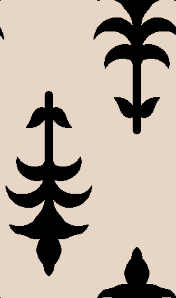 243 copy.png