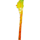 9 556959
