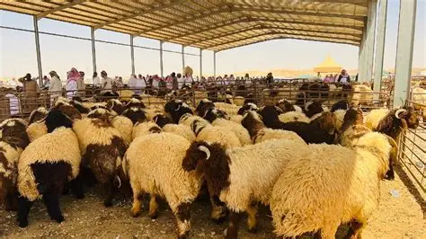 بديل عبور سوري باتجاه الخليج بعيداً عن خط الأردن