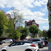 https://i.ibb.co/5X4HmwqS/DSC02105.jpg