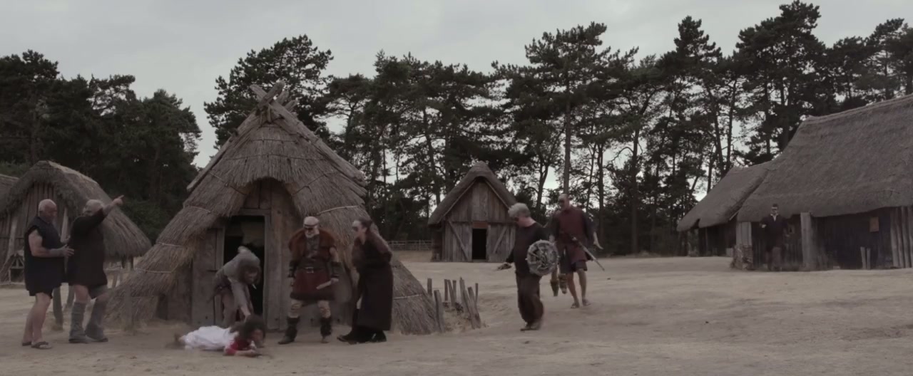 The Viking War Screenshot