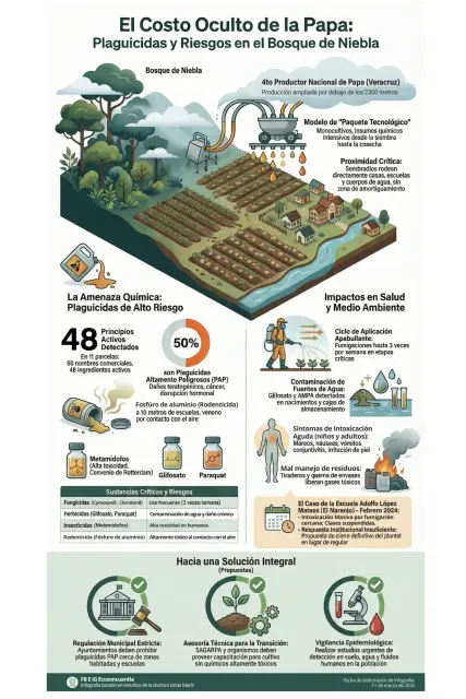 Infografias-ecozoncuantla-blog-3