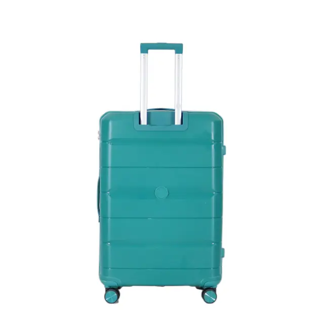 CL-1001-TUR-2.webp