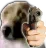 1209656555084062730.webp