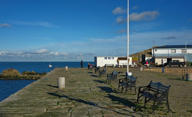 DSCF0910.jpg
