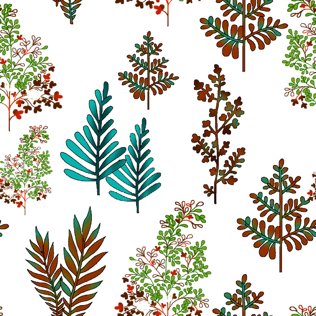 Untitled 1.png